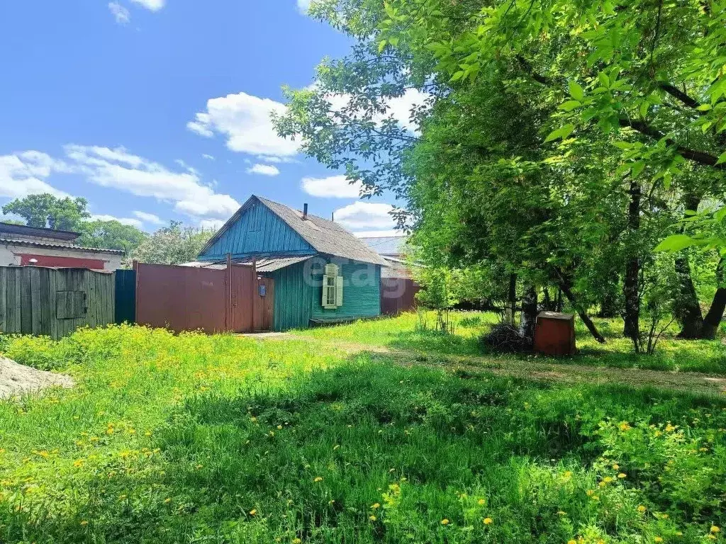 Дом в Амурская область, Благовещенск ул. Шимановского, 121 (27 м) - Фото 1