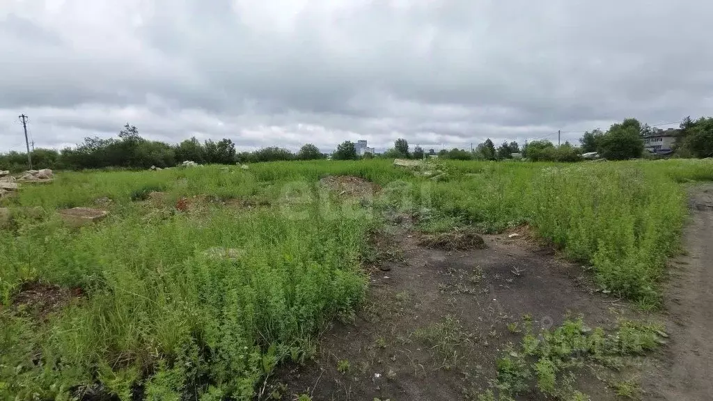 Участок в Вологодская область, Сокольский муниципальный округ, ... - Фото 2