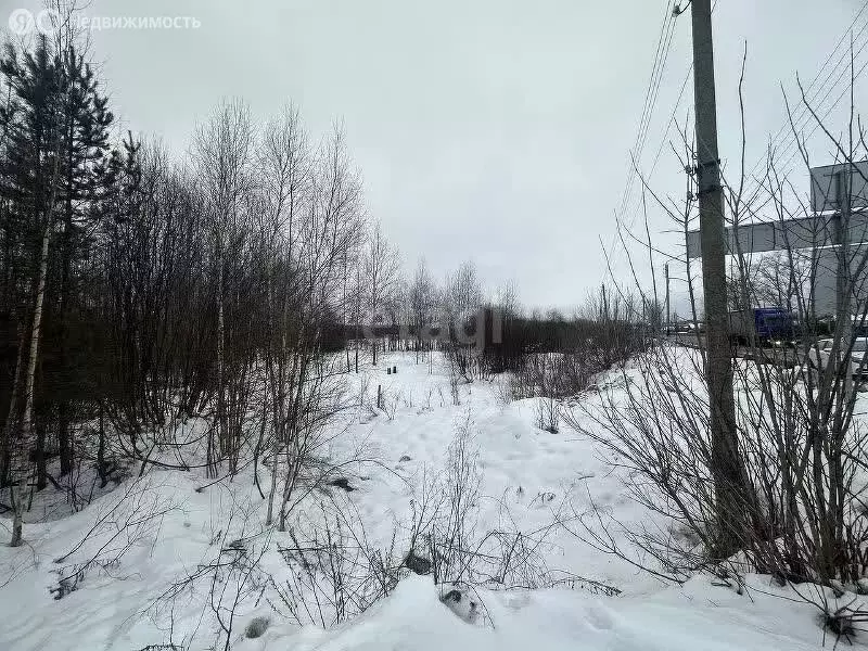 Участок в Нижегородская область, Володарский муниципальный округ, село ... - Фото 0