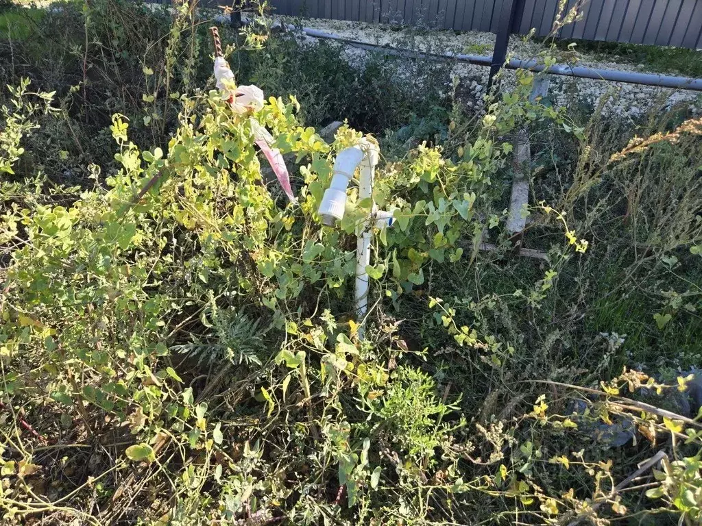 Участок в Краснодарский край, Анапа муниципальный округ, с. Витязево ... - Фото 2