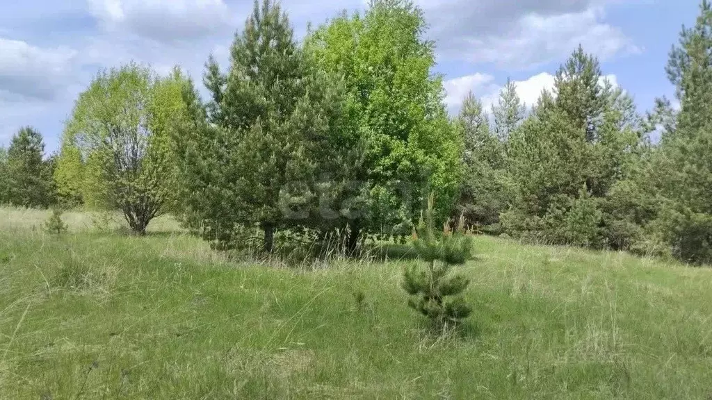 Участок в Нижегородская область, Сосновский муниципальный округ, д. ... - Фото 2