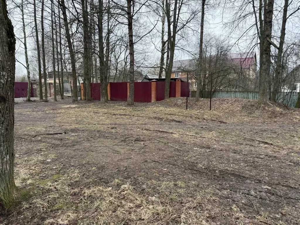 Участок в Московская область, Пушкинский городской округ, Софрино пгт ... - Фото 1