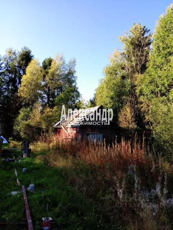 Участок в Ленинградская область, Приозерский район, Кузнечнинское ... - Фото 0