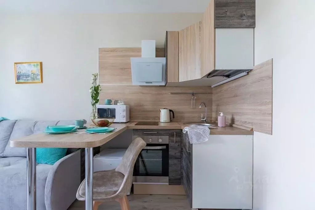 Студия Санкт-Петербург Политехническая ул., 6 (22.0 м) - Фото 2