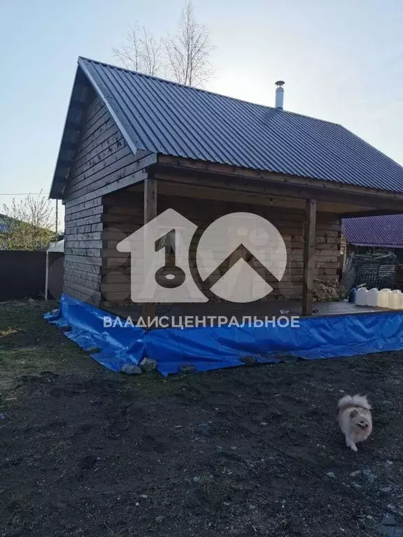 Участок 8 сот. (СНТ, ДНП) - Фото 0