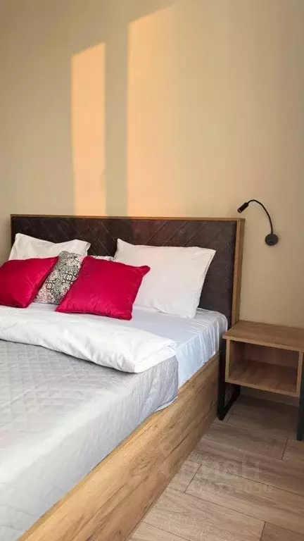 Студия Санкт-Петербург просп. Энергетиков, 8к2 (30.0 м) - Фото 1
