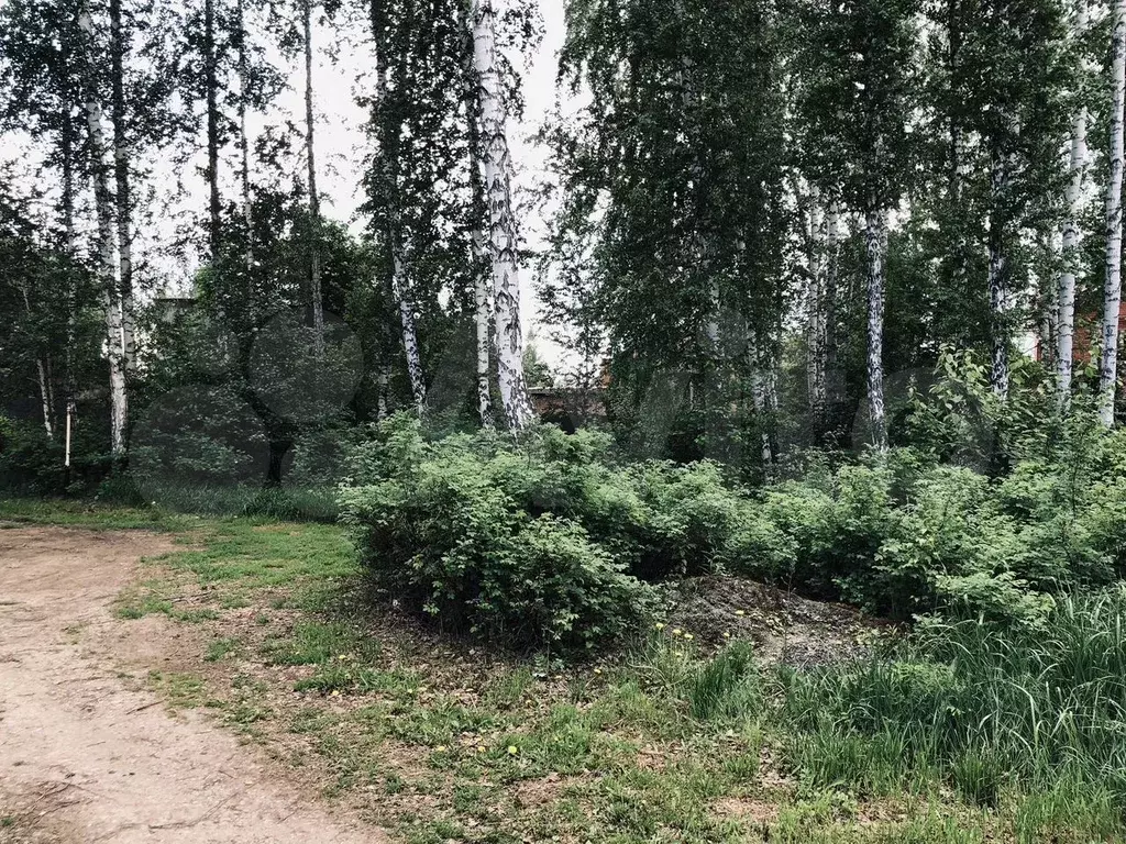 Участок 10 сот. (СНТ, ДНП) - Фото 1