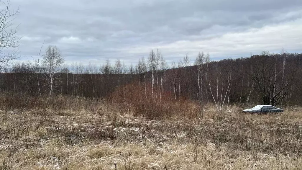 Участок в Московская область, Ступино городской округ, д. Городище  ... - Фото 0