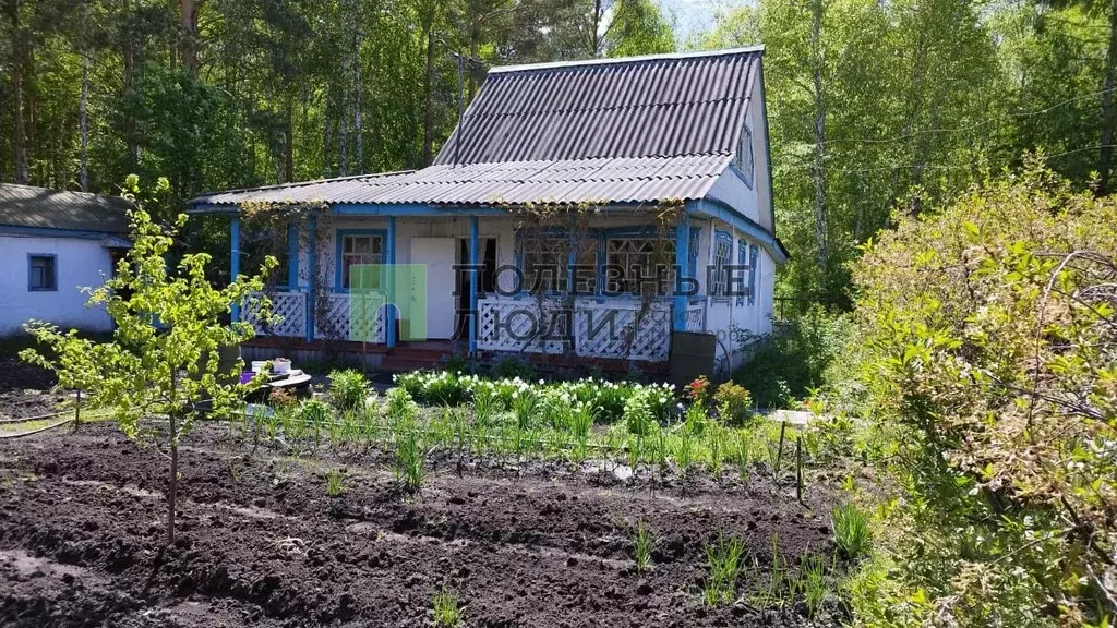 Дом в Курганская область, Кетовский муниципальный округ, Ясная ... - Фото 0