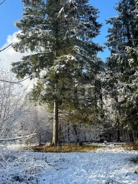 Участок в Москва Акулово СНТ, 3 (8.0 сот.) - Фото 1