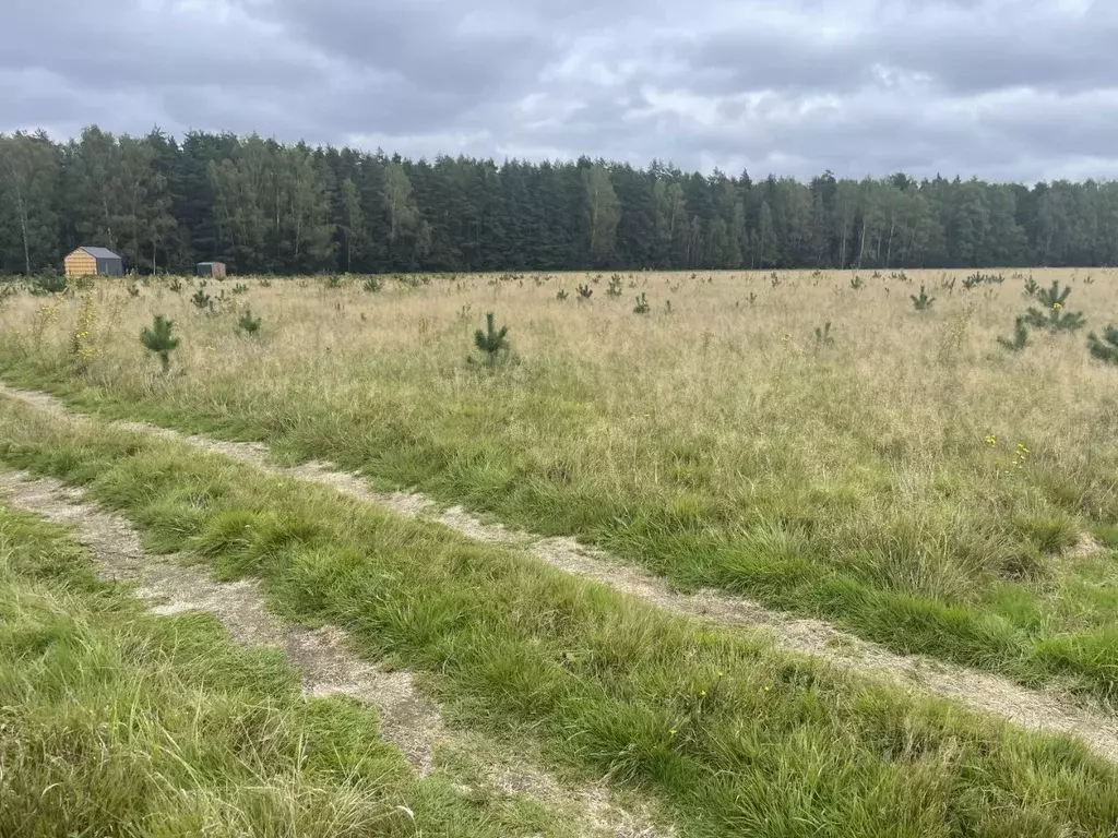 Участок в Тверская область, Калининский муниципальный округ, д. Сухой ... - Фото 2