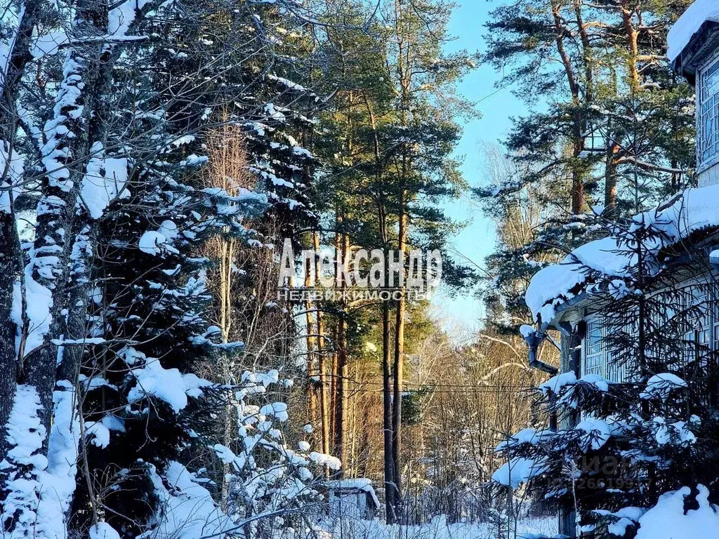 Участок в Ленинградская область, Приозерский район, пос. Сосново ул. ... - Фото 1