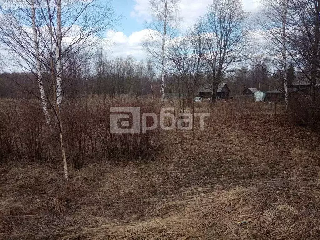 Участок в Костромской район, Кузьмищенское сельское поселение, деревня ... - Фото 1