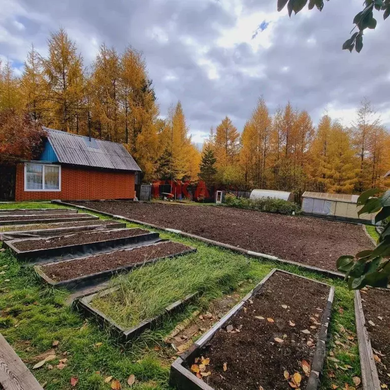 Дом в Саха (Якутия), Нерюнгринский район, Серебряный Бор пгт  (30 м) - Фото 1