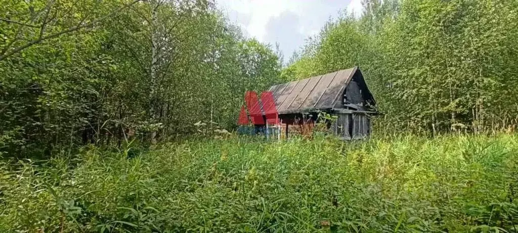 Дом в Ярославская область, Тутаевский муниципальный округ, Тамарово ... - Фото 1