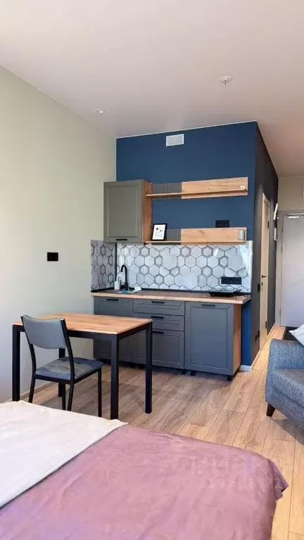 Студия Санкт-Петербург просп. Энергетиков, 8к2 (25.0 м) - Фото 0