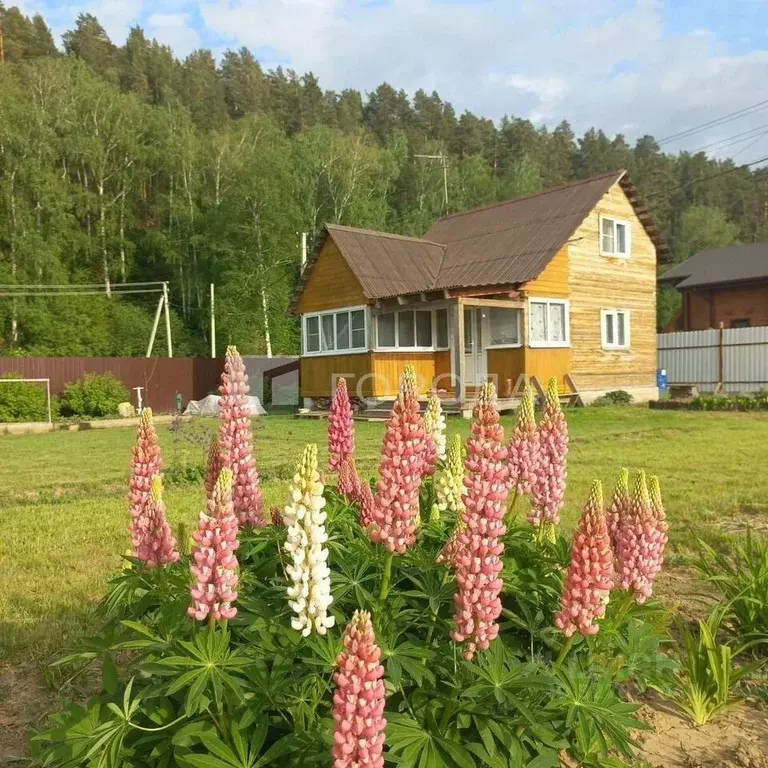 Участок в Новосибирская область, Новосибирский район, Кубовинский ... - Фото 1