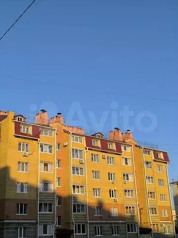 2-к. квартира, 55,8 м, 3/6 эт. - Фото 0