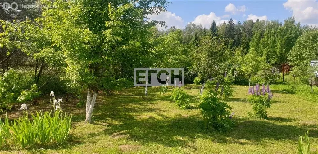 Участок в деревня Задорино, Васильковая улица (21 м) - Фото 1