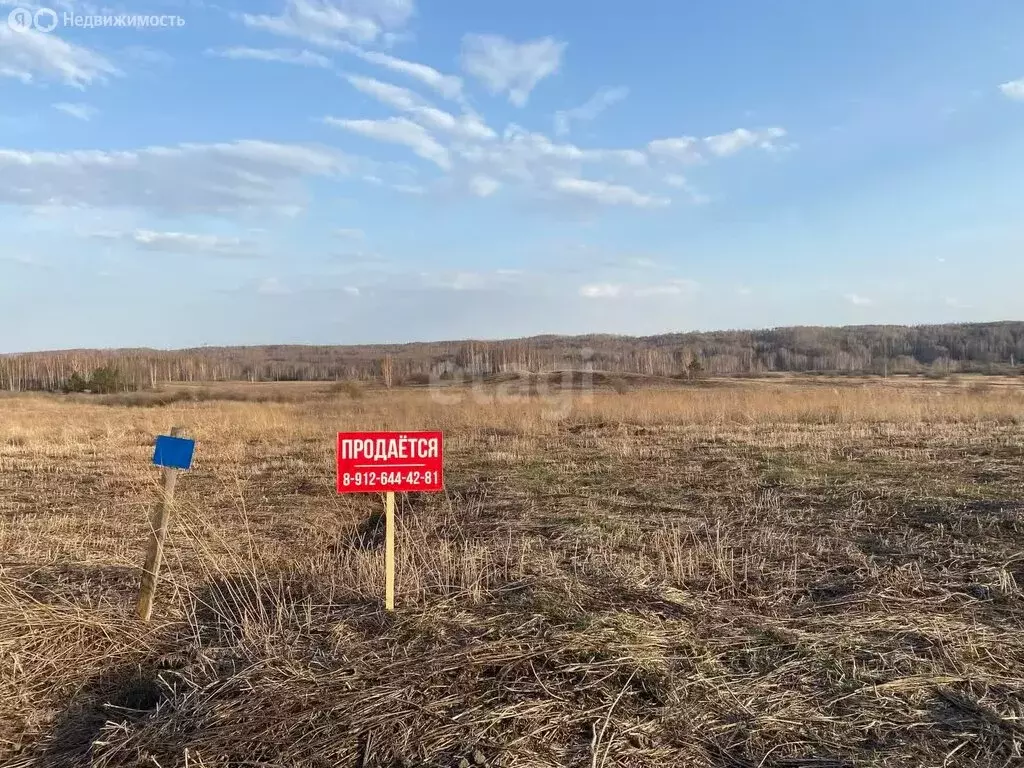 Участок в Свердловская область, Ирбитское муниципальное образование, ... - Фото 1