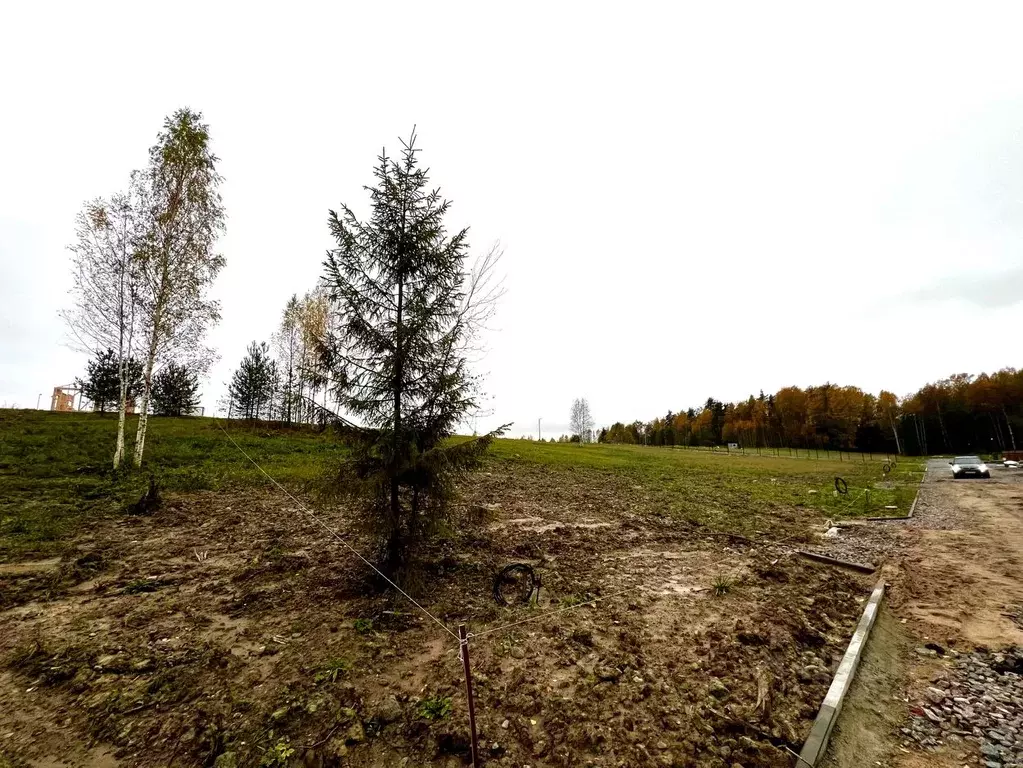 Участок в Ленинградская область, Ломоносовский район, д. Низино ул. ... - Фото 1