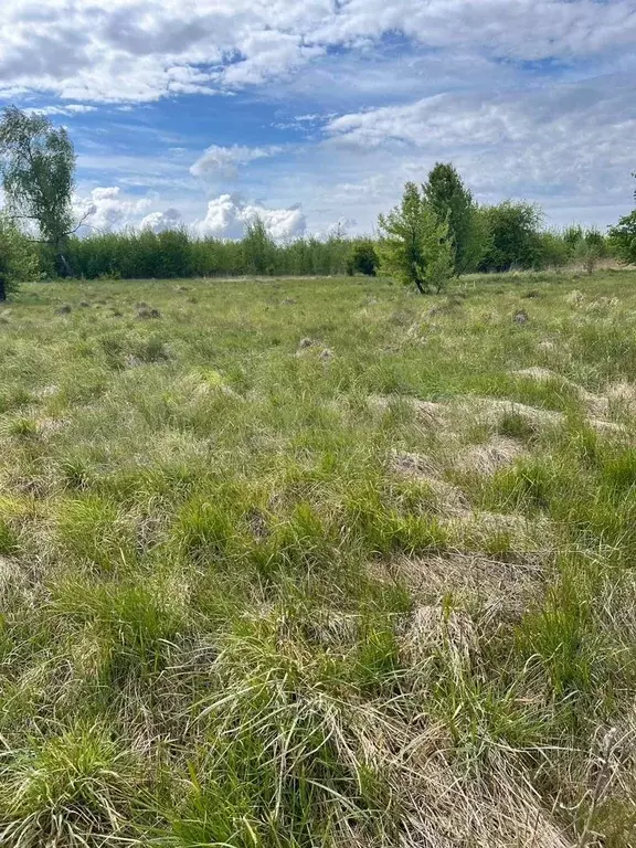 Участок 6,2 сот. (ИЖС) - Фото 1
