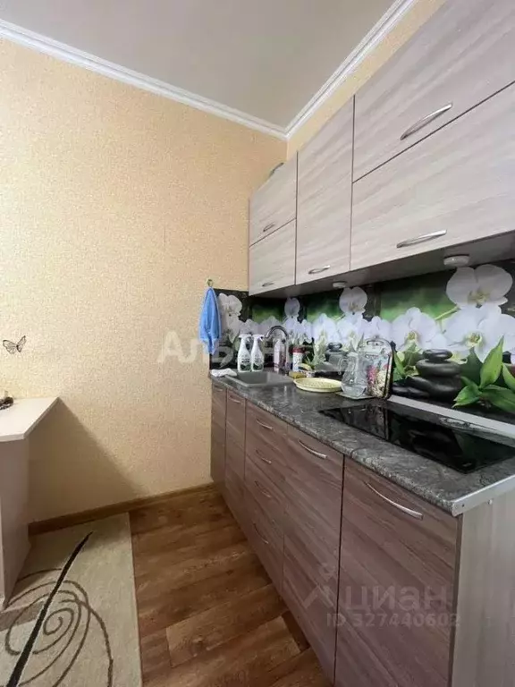 Студия Ростовская область, Волгодонск ул. Максима Горького, 11 (25.0 ... - Фото 2