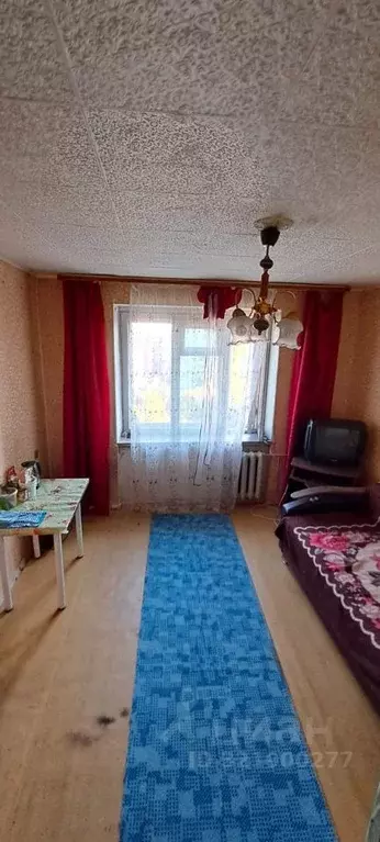 Комната Новосибирская область, Новосибирск ул. Энгельса, 14 (12.7 м) - Фото 1