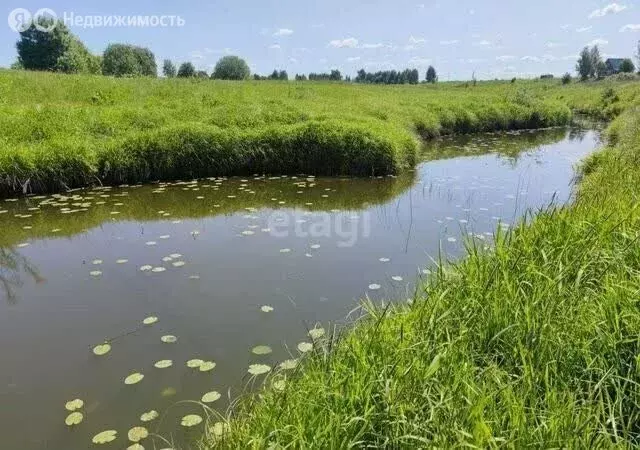 Участок в Заволжское сельское поселение, ДНП Браташино (18.7 м) - Фото 1