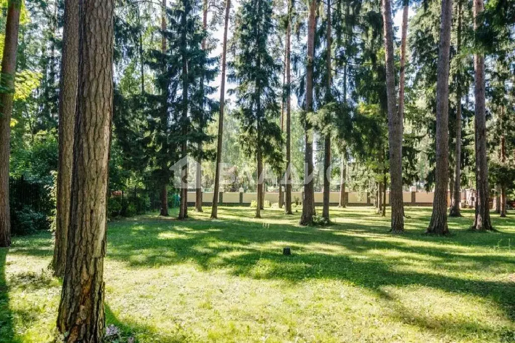 Продается участок в д. Котово - Фото 1