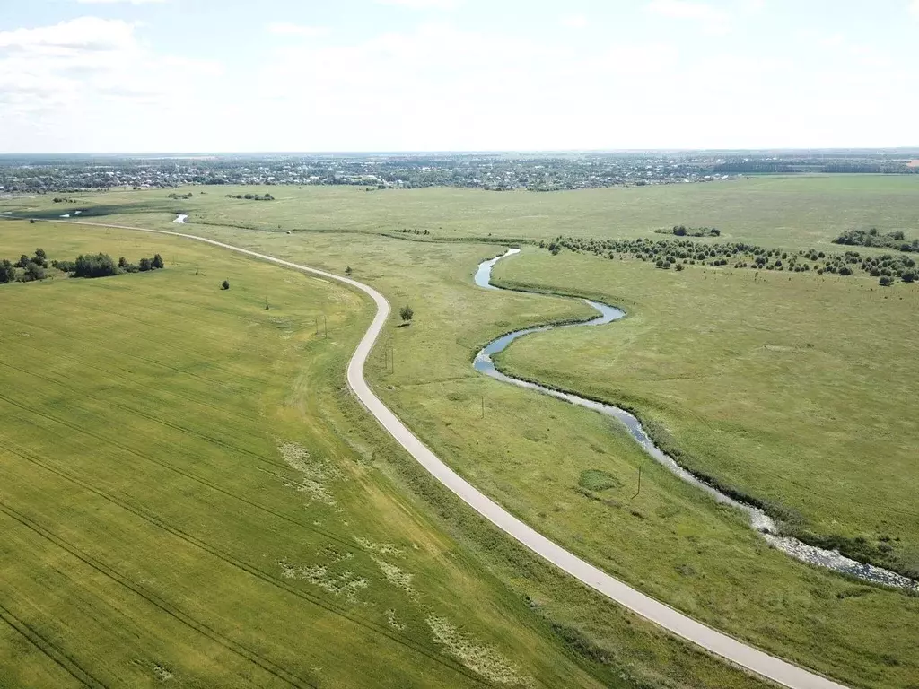 Участок в Владимирская область, Суздальский район, Селецкое ... - Фото 1