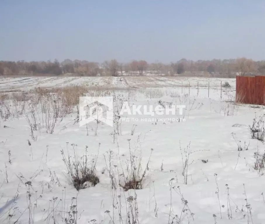 Участок в Ивановская область, Иваново ул. Дальняя Балинская (11.0 ... - Фото 1