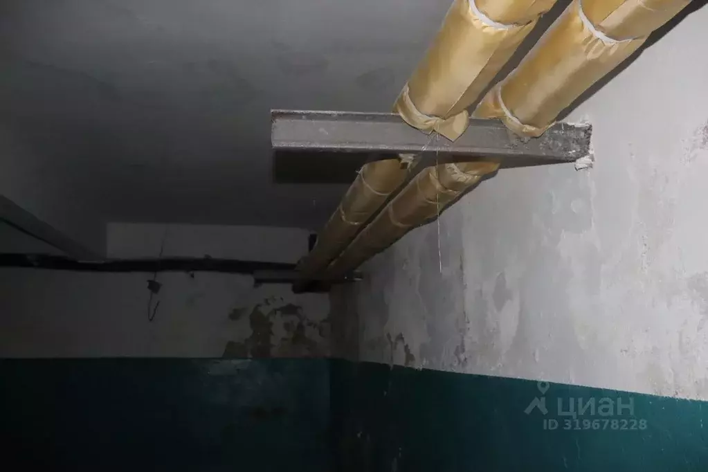 Помещение свободного назначения в Воронежская область, Воронеж ул. ... - Фото 1