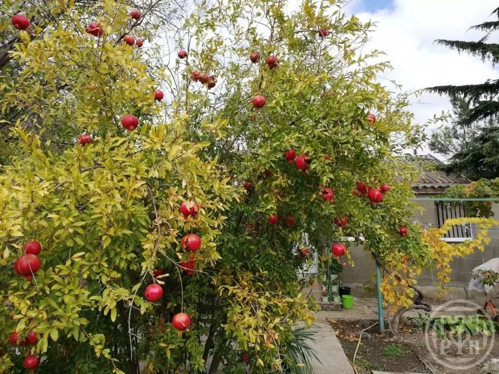 Дом в Крым, Судак муниципальный округ, с. Морское  (97 м) - Фото 1