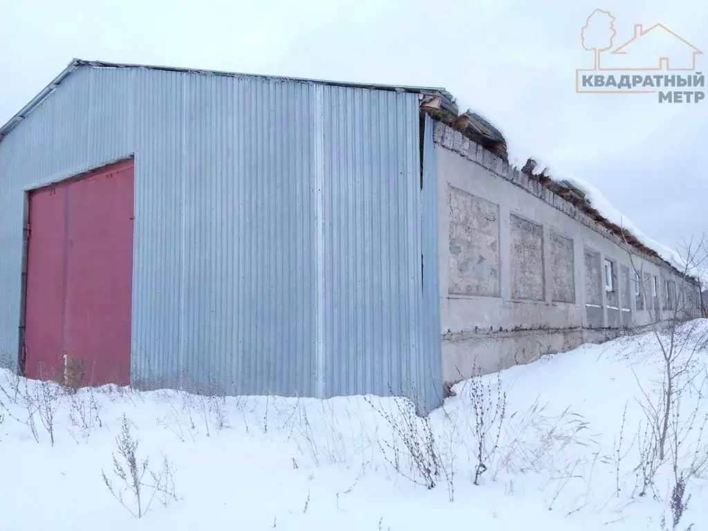 Помещение свободного назначения в Ульяновская область, Мелекесский ... - Фото 1