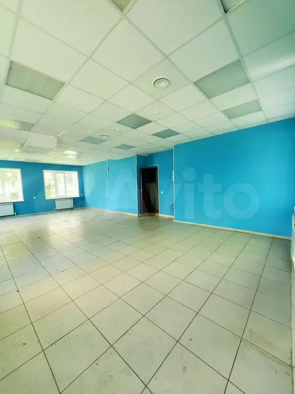 Свободного назначения, 50 м - Фото 1