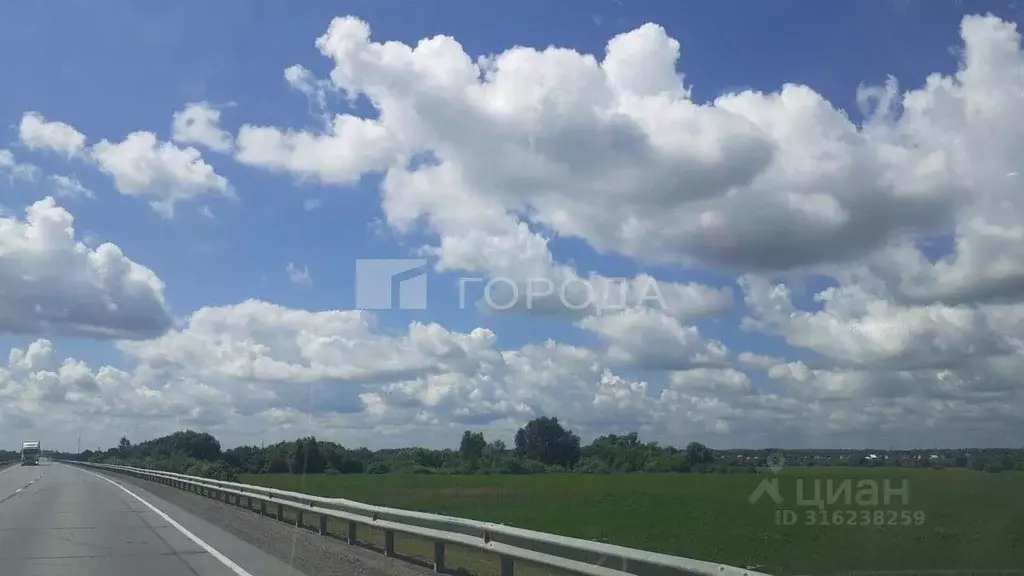 Участок в Новосибирская область, Коченевский район, Тальник СНТ ул. ... - Фото 0