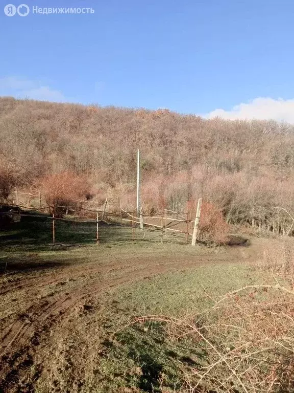 Участок в Белогорский район, Зеленогорское сельское поселение, село ... - Фото 1