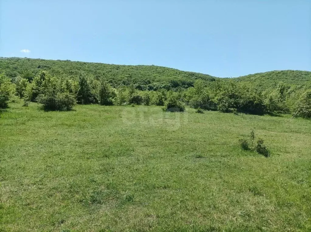 Участок в Крым, Кировский район, Старый Крым городское поселение пер. ... - Фото 1