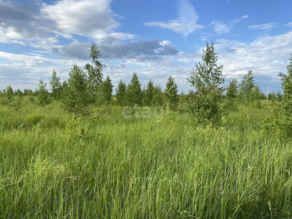 Купить Дом В Марий Эл Шоя Кузнецово