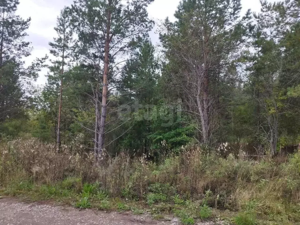 Участок в Свердловская область, Талица ул. Луначарского (10.0 сот.) - Фото 1