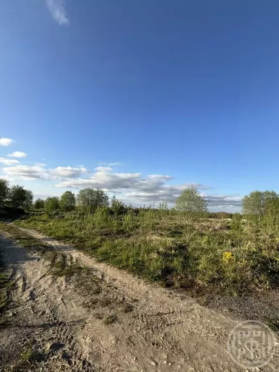 Участок в Ленинградская область, Ломоносовский район, Лопухинское ... - Фото 0