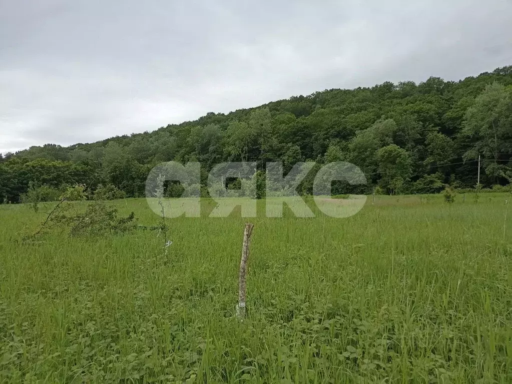 Участок в Краснодарский край, Горячий Ключ муниципальный округ, с. ... - Фото 2