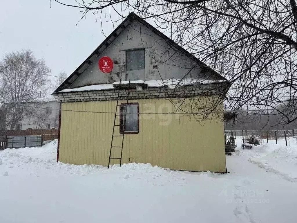 Дом в Амурская область, Благовещенский район, с. Усть-Ивановка пер. ... - Фото 1
