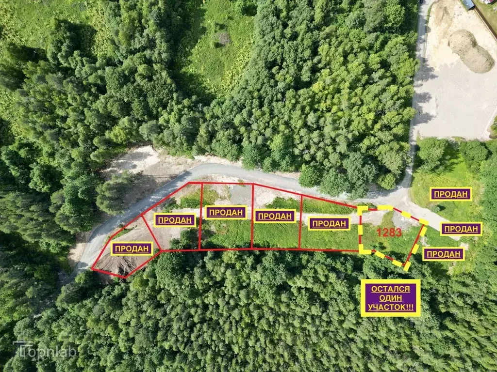 Участок в Карелия, Пряжинский район, Эссойльское с/пос, с. Эссойла ... - Фото 2