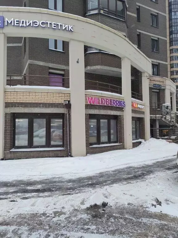 Помещение свободного назначения в Санкт-Петербург пос. Парголово, ул. ... - Фото 1