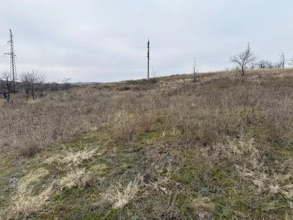 Участок в Волгоградская область, Городищенский район, Царицынское ... - Фото 1