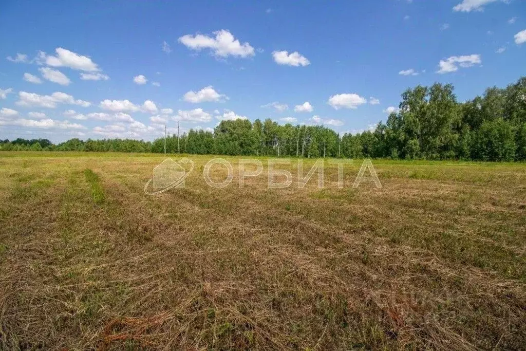 Участок в Тюменская область, Тюменский муниципальный округ, д. ... - Фото 2