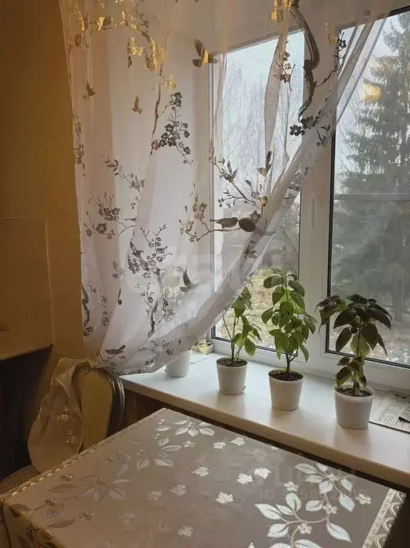 2-к кв. Ярославская область, Рыбинск ул. Моисеенко, 11 (42.0 м) - Фото 2