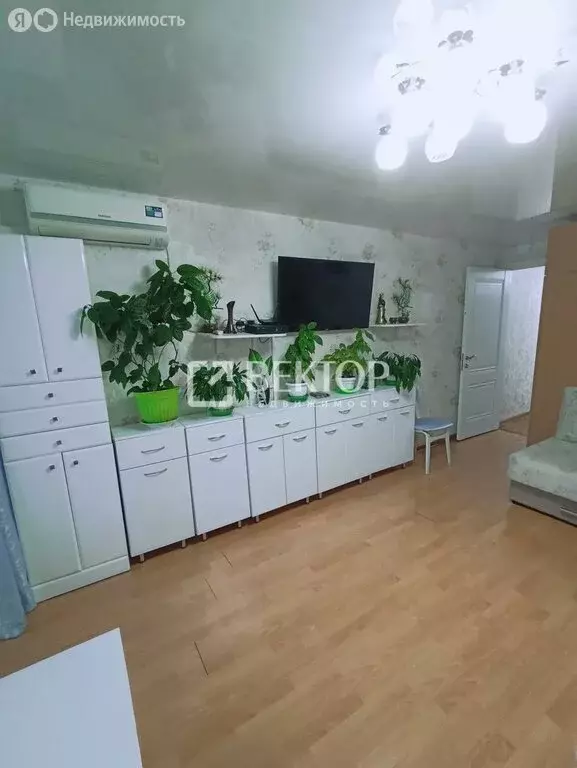 3-комнатная квартира: Кострома, Кинешемское шоссе, 33 (52.4 м) - Фото 1